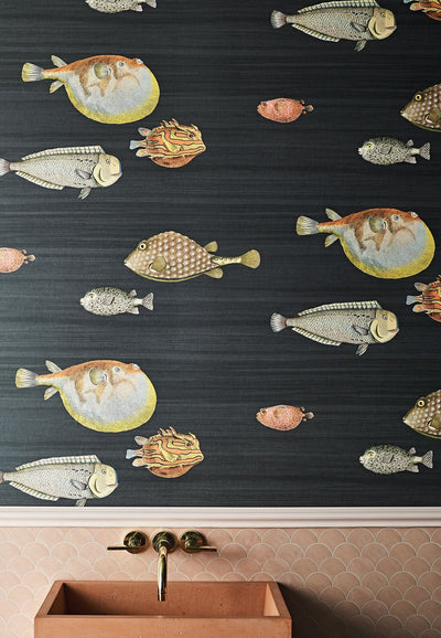 Acquario Wallpaper