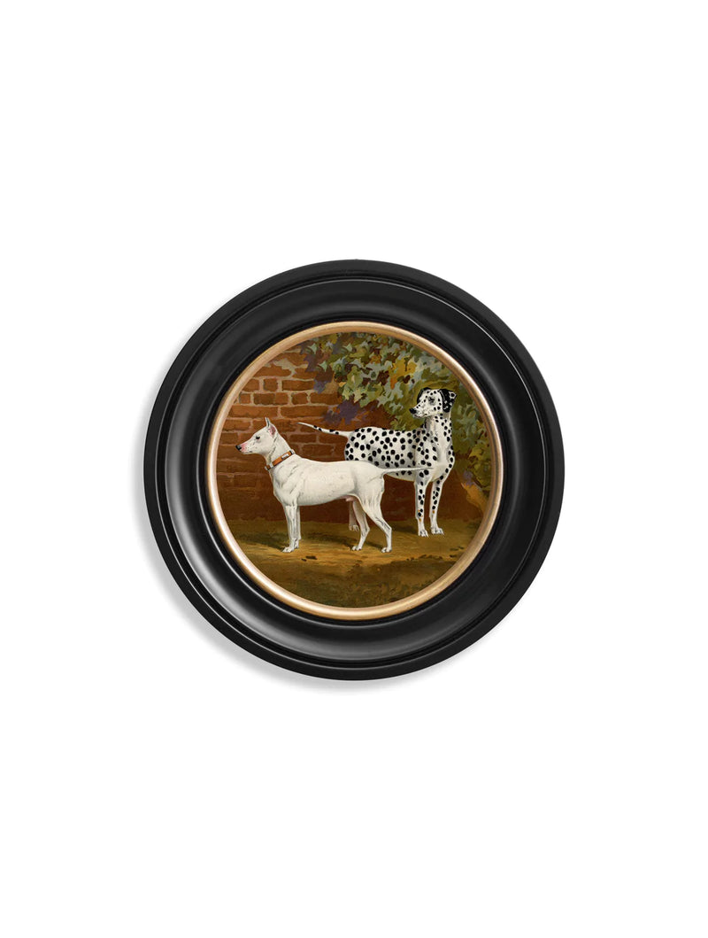 c. 1881 Dogs in Round Frame