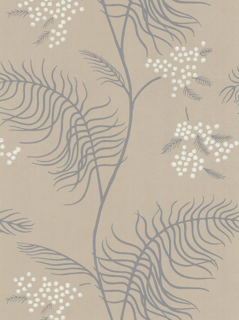 Mimosa Wallpaper