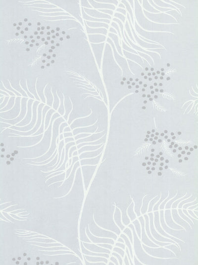 Mimosa Wallpaper