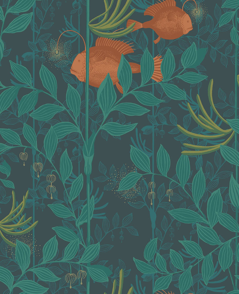 Nautilus Wallpaper