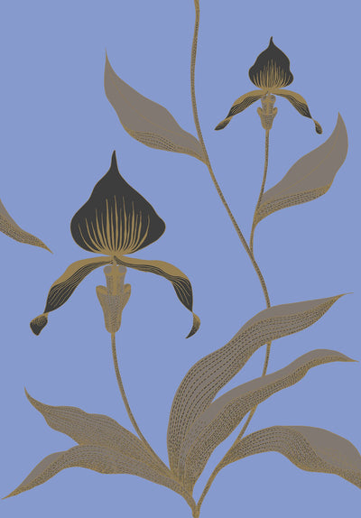 Orchid Wallpaper