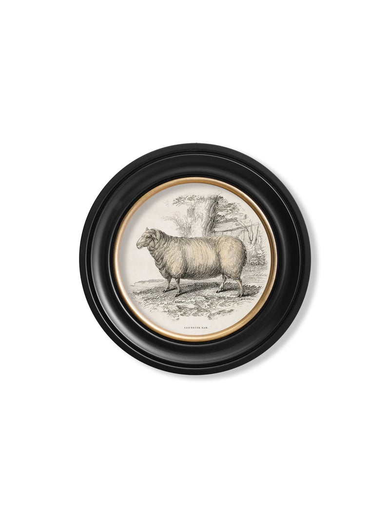 c. 1837 Domestic Animals Round Frame