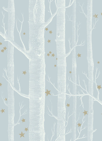 Woods and Stars Wallpaper
