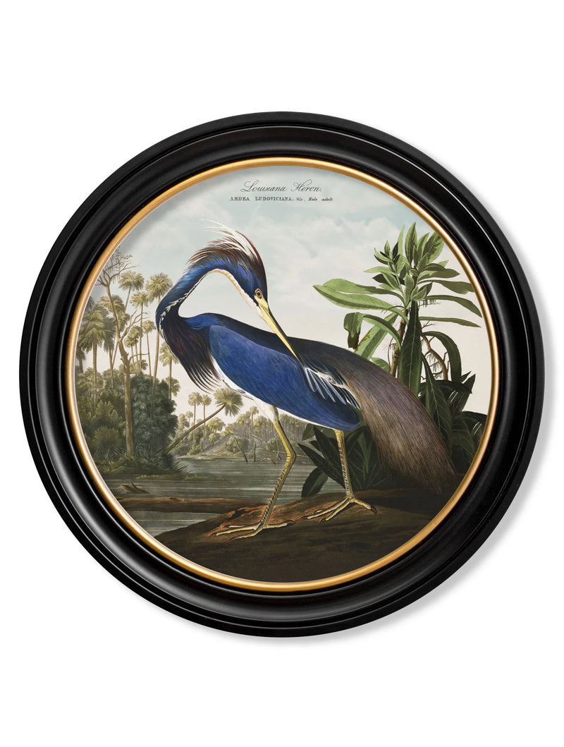 c.1838 Audubon&