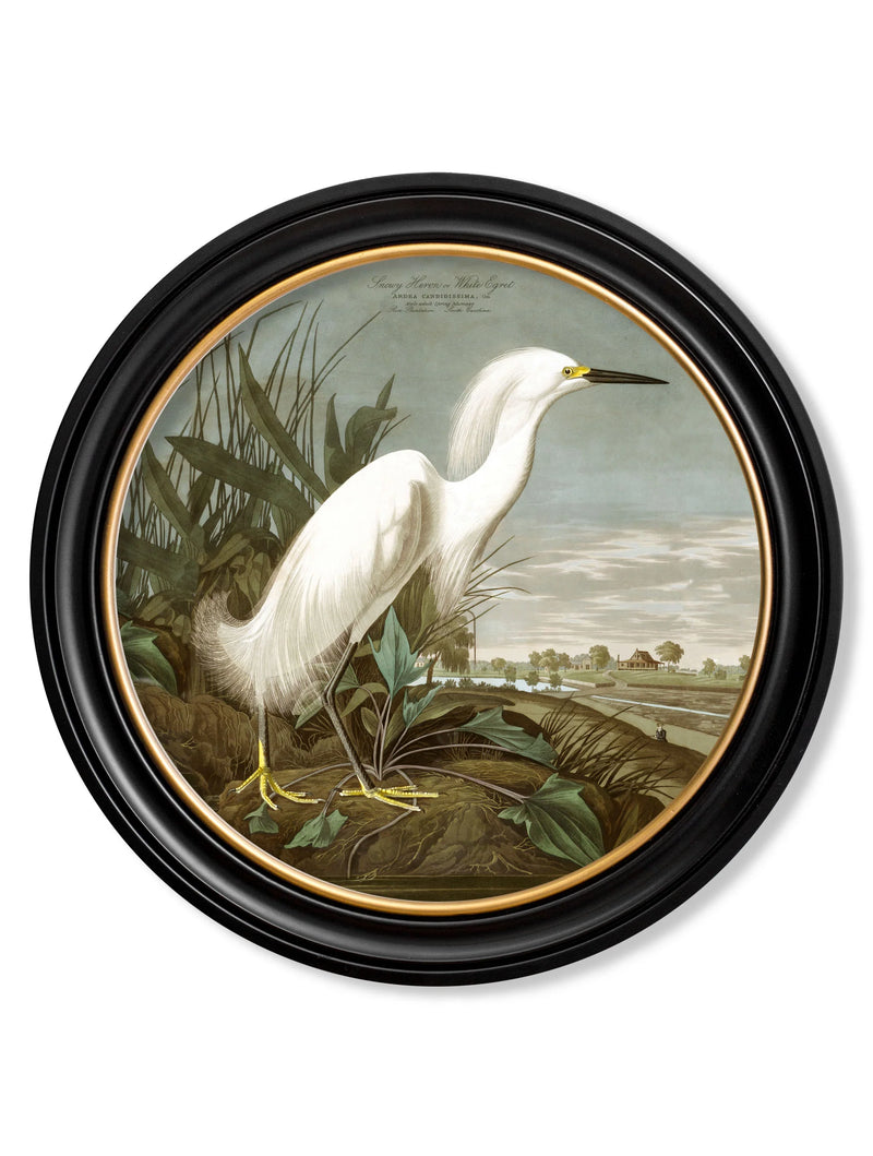 c.1838 Audubon&