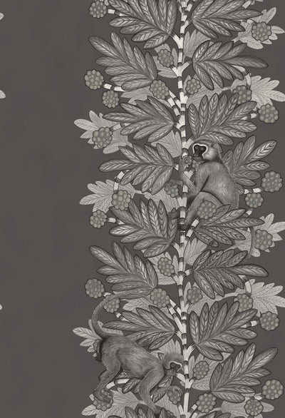 Acacia Wallpaper