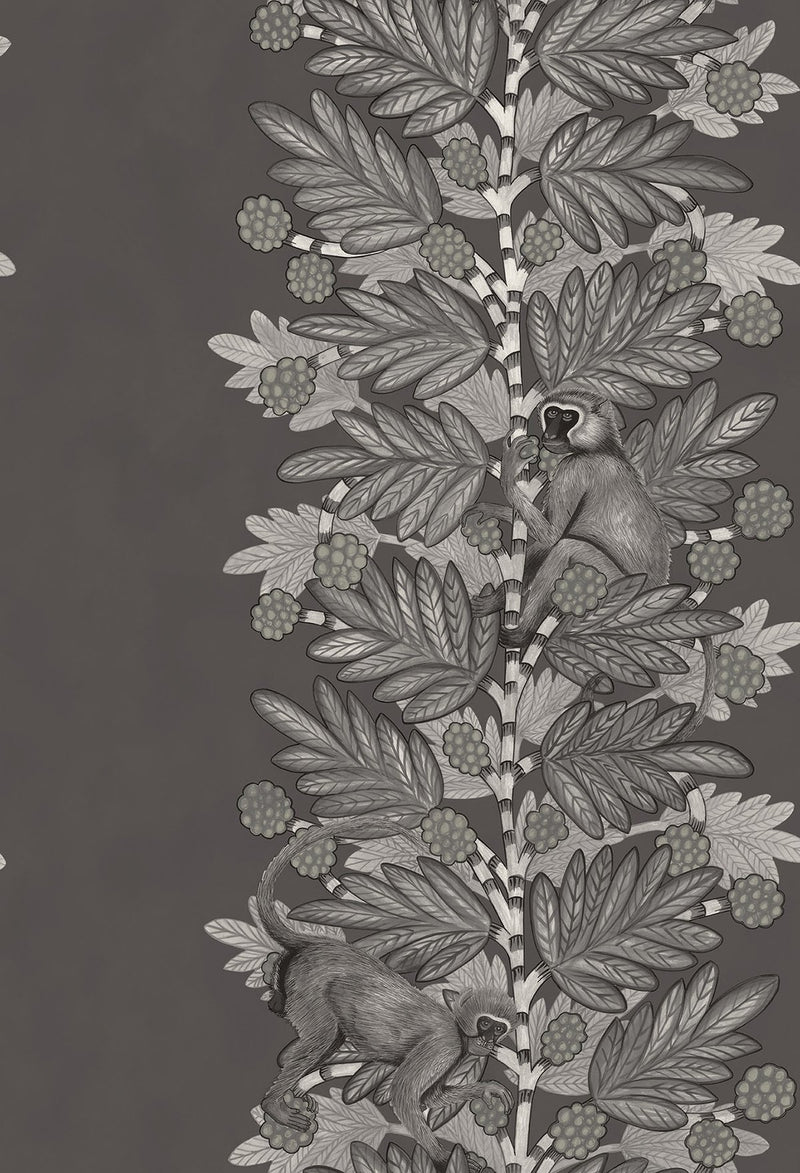 Acacia Wallpaper