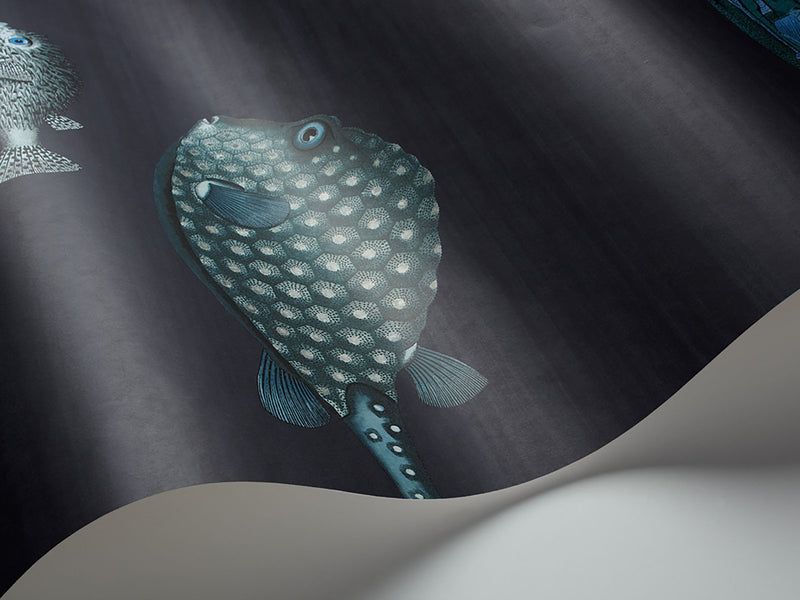 Acquario Wallpaper