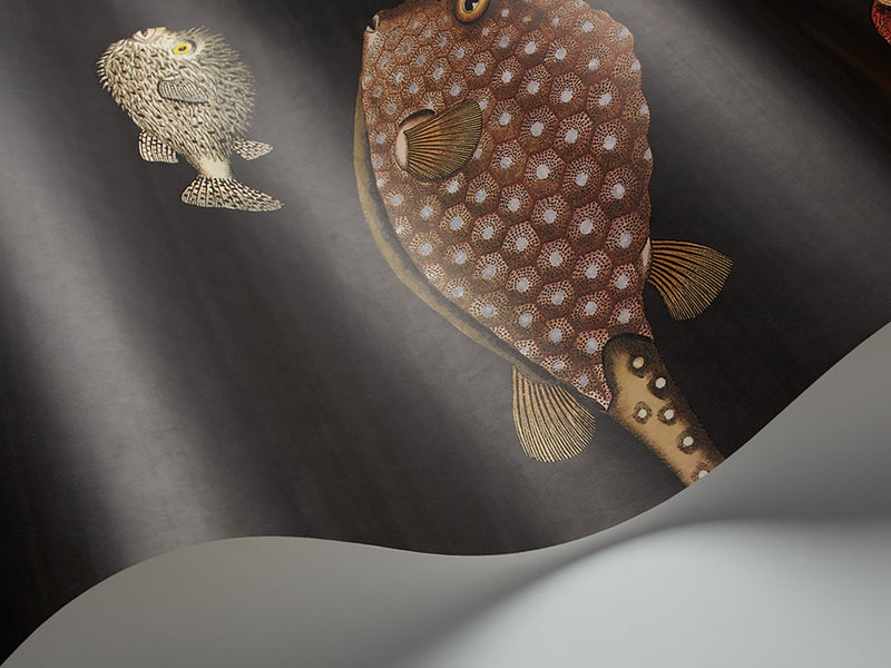 Acquario Wallpaper