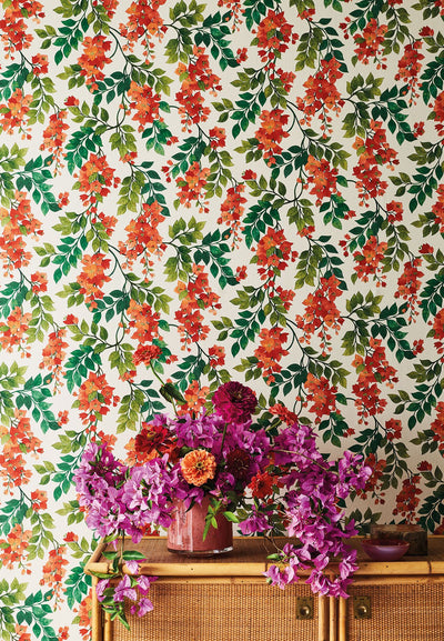 Bougainvillea Wallpaper