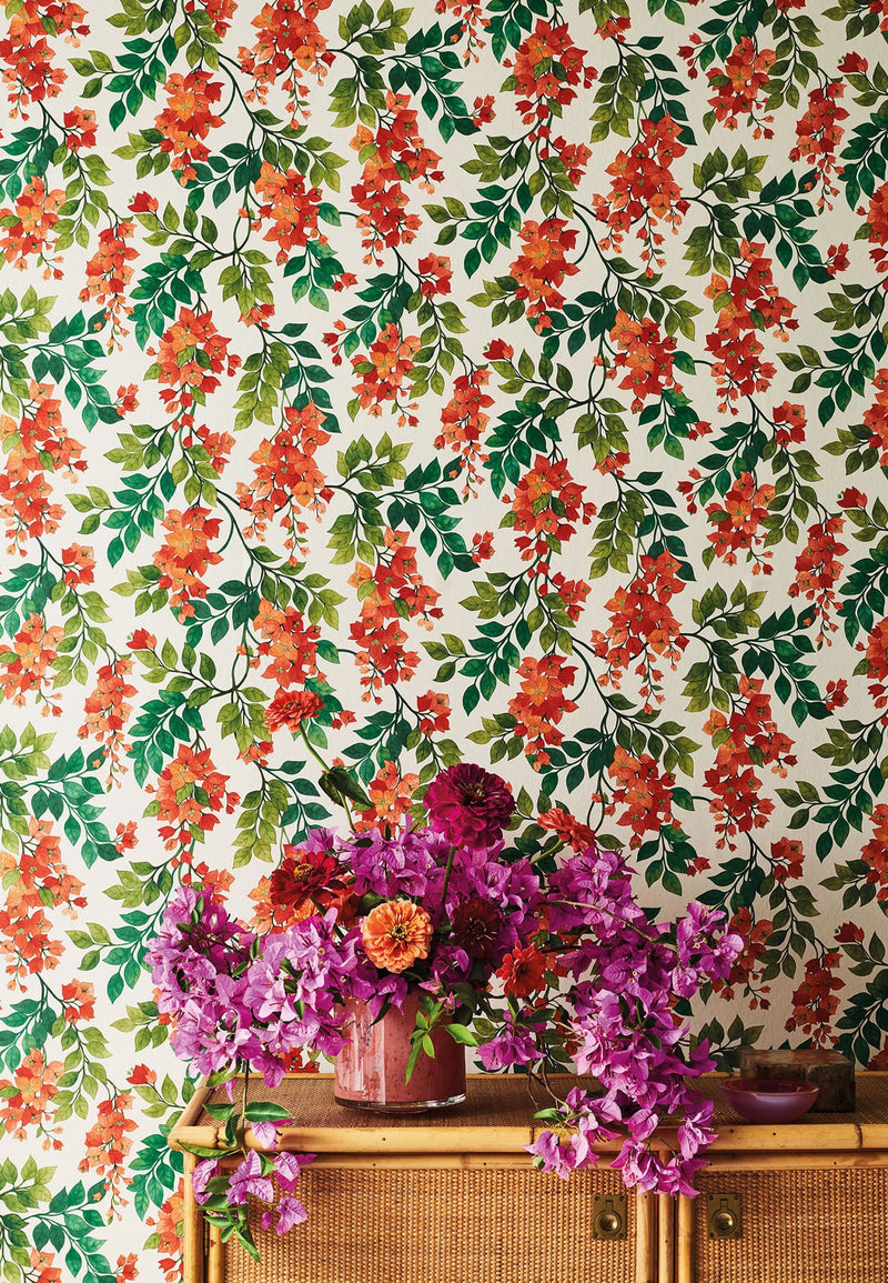 Bougainvillea Wallpaper