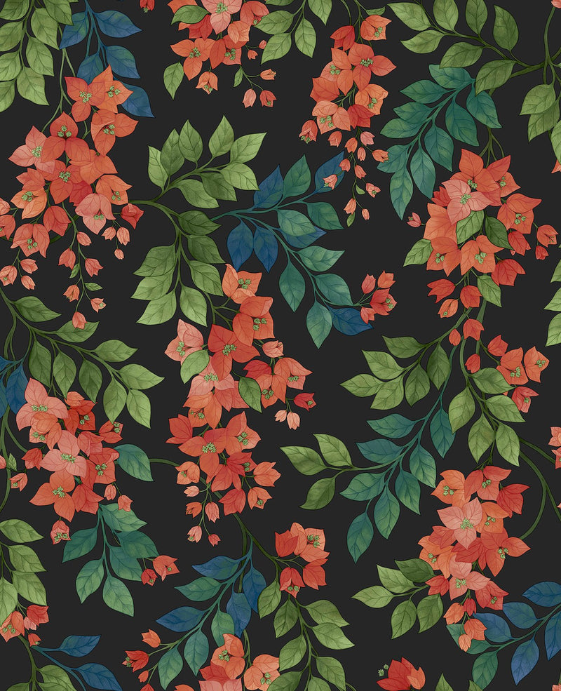 Bougainvillea Wallpaper