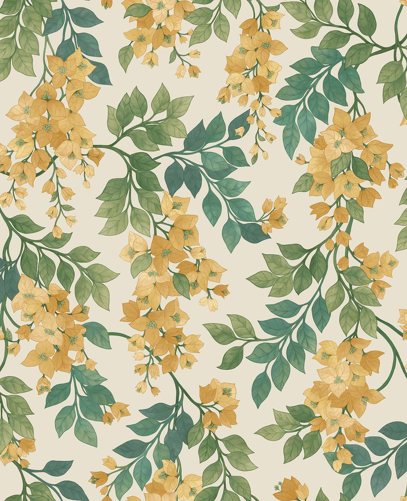 Bougainvillea Wallpaper