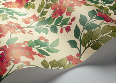 Bougainvillea Wallpaper