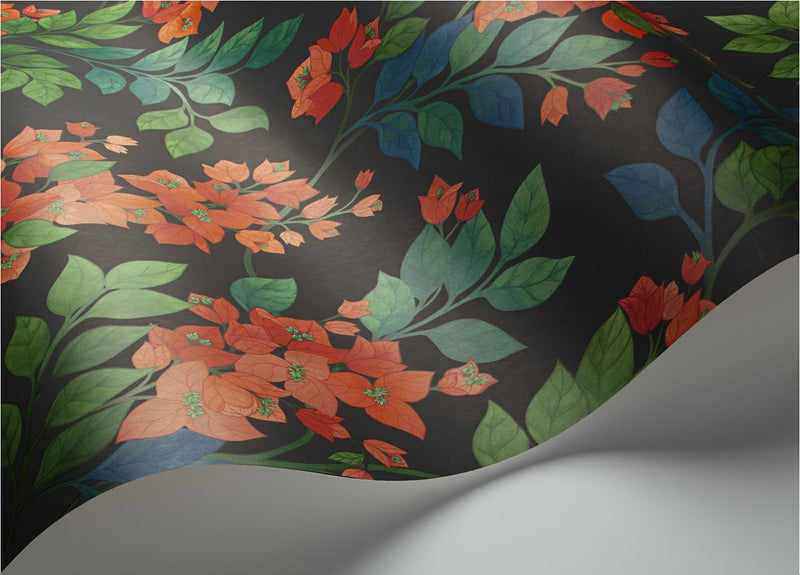 Bougainvillea Wallpaper