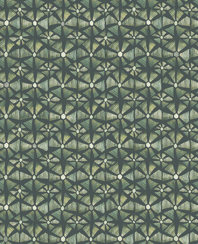 Kalahari Wallpaper