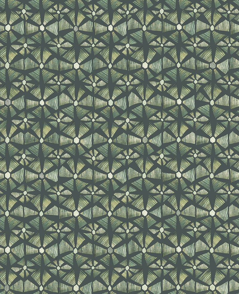 Kalahari Wallpaper