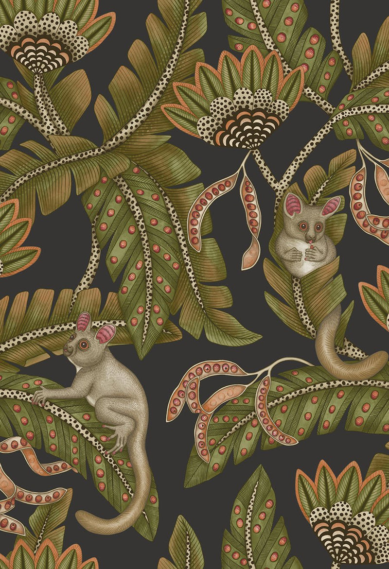 Bush Baby Wallpaper