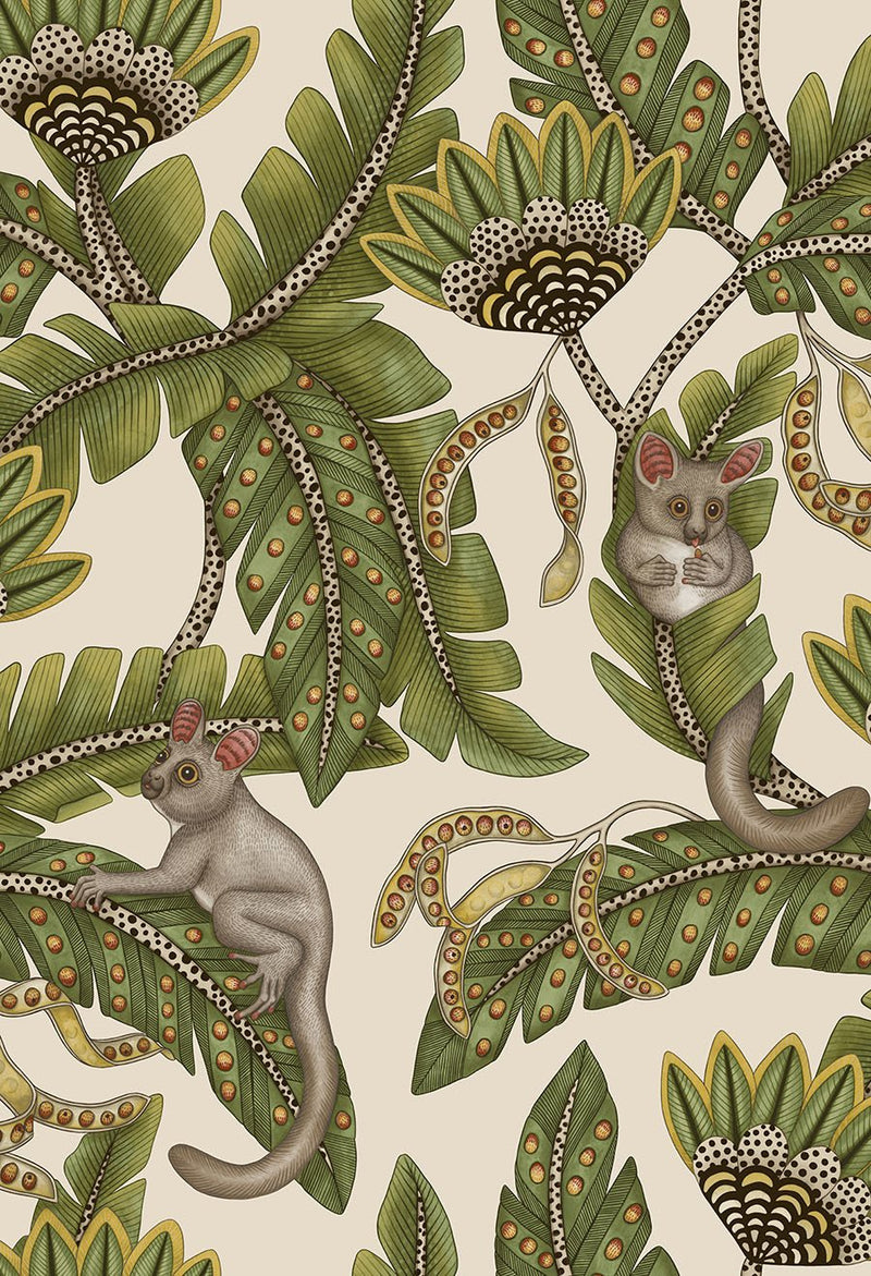 Bush Baby Wallpaper