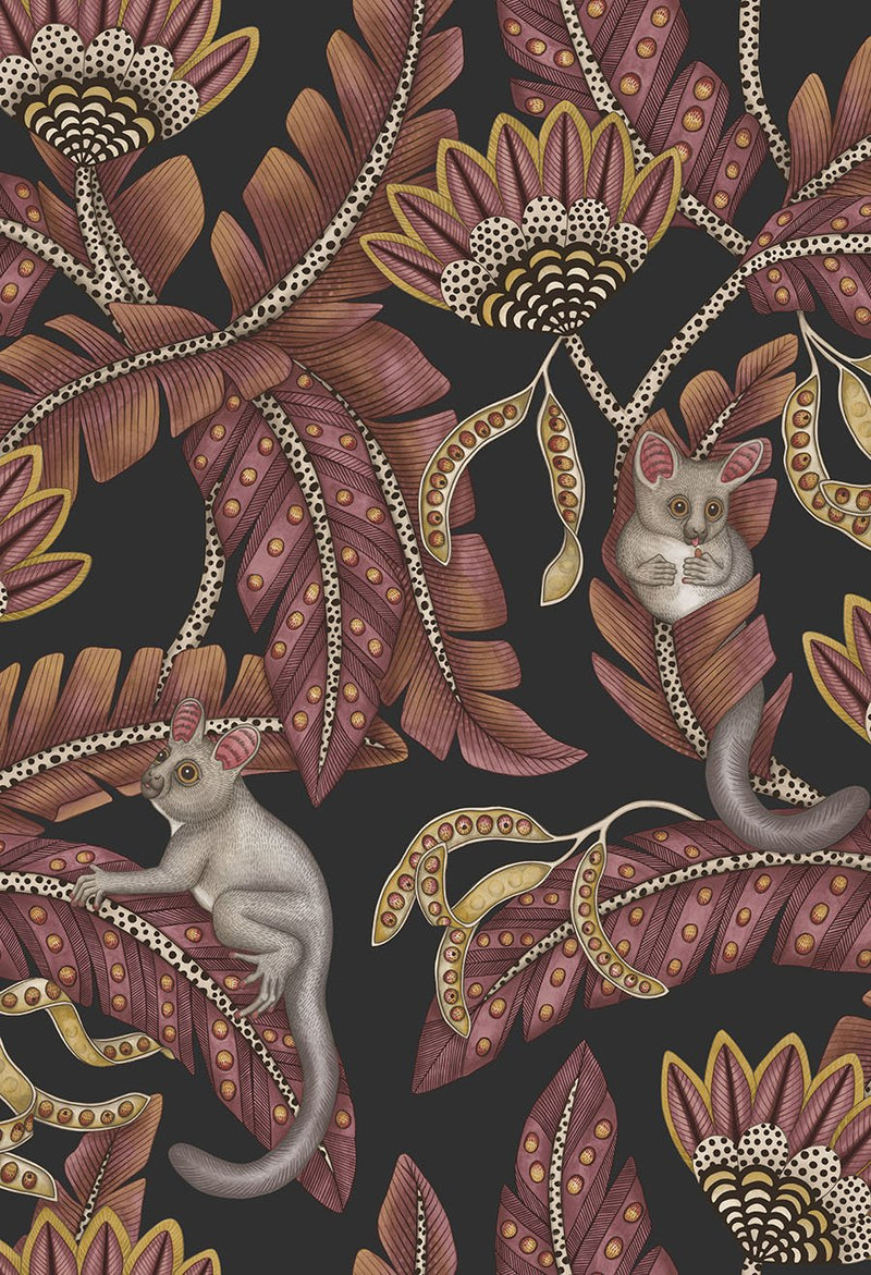 Bush Baby Wallpaper