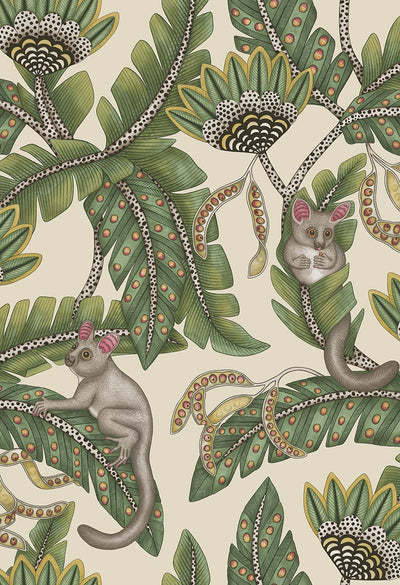 Bush Baby Wallpaper