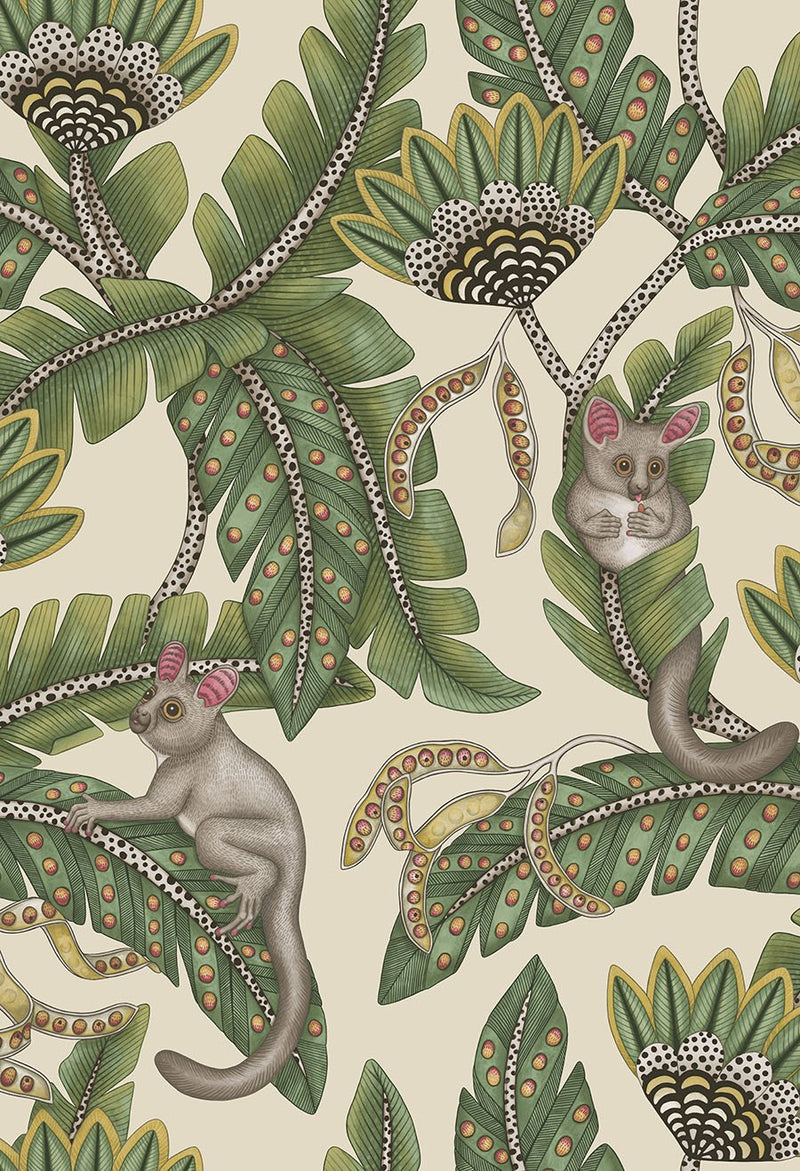 Bush Baby Wallpaper