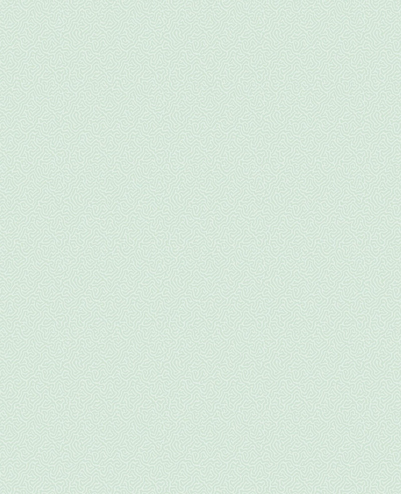 Coral Wallpaper