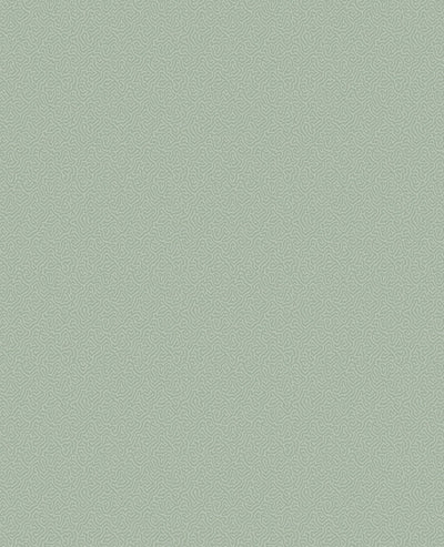 Coral Wallpaper