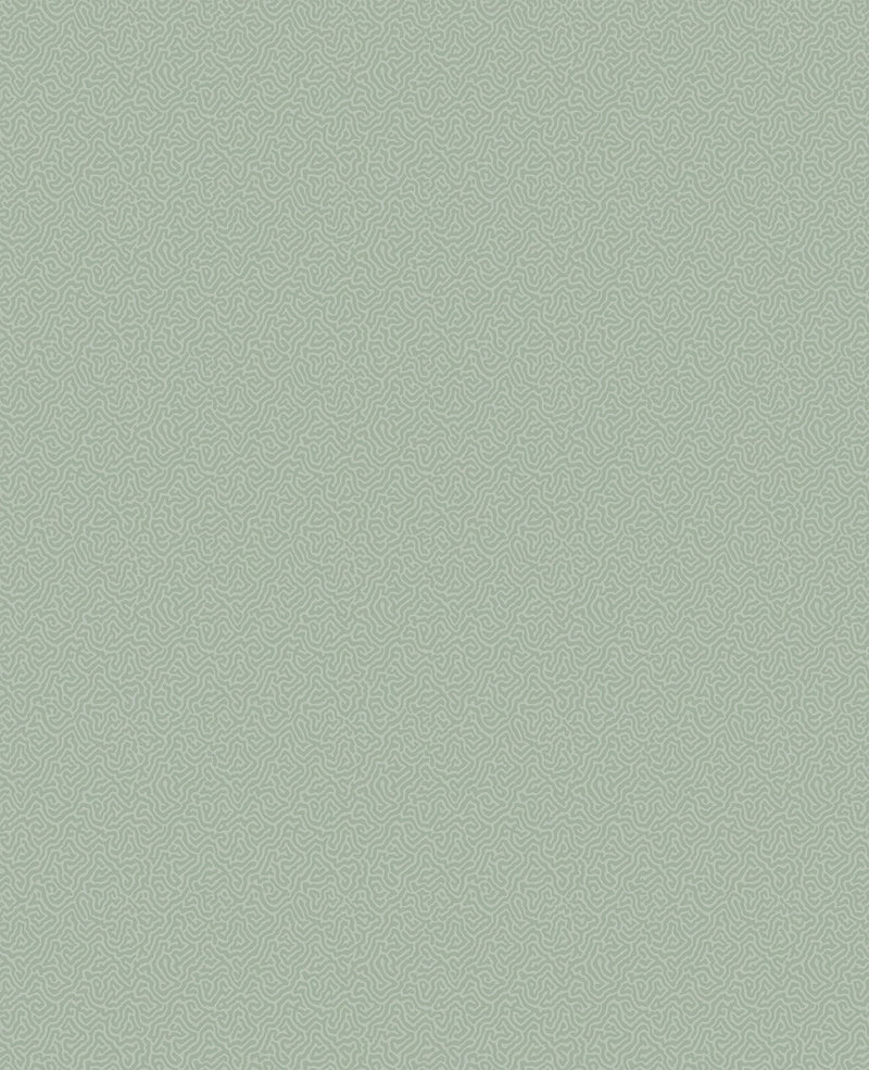 Coral Wallpaper