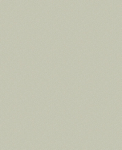Coral Wallpaper