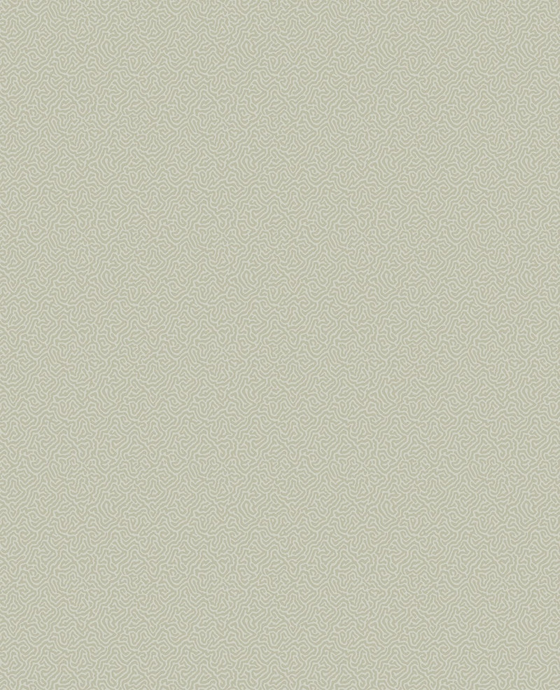 Coral Wallpaper