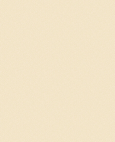 Coral Wallpaper
