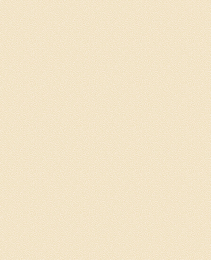 Coral Wallpaper