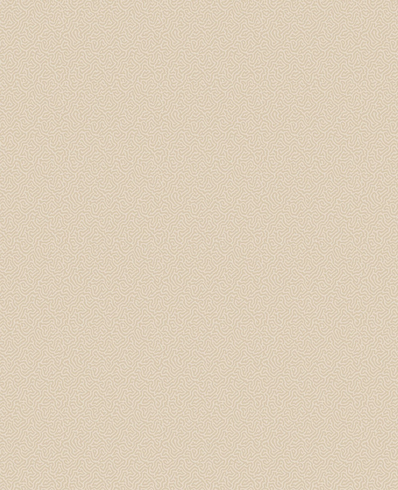 Coral Wallpaper