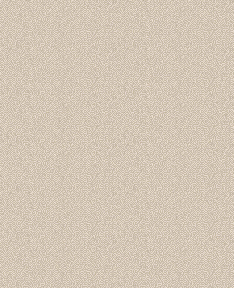 Coral Wallpaper