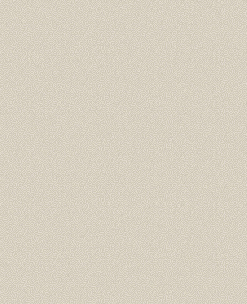 Coral Wallpaper