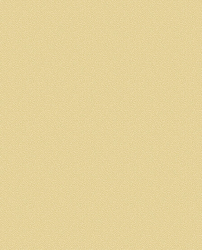 Coral Wallpaper