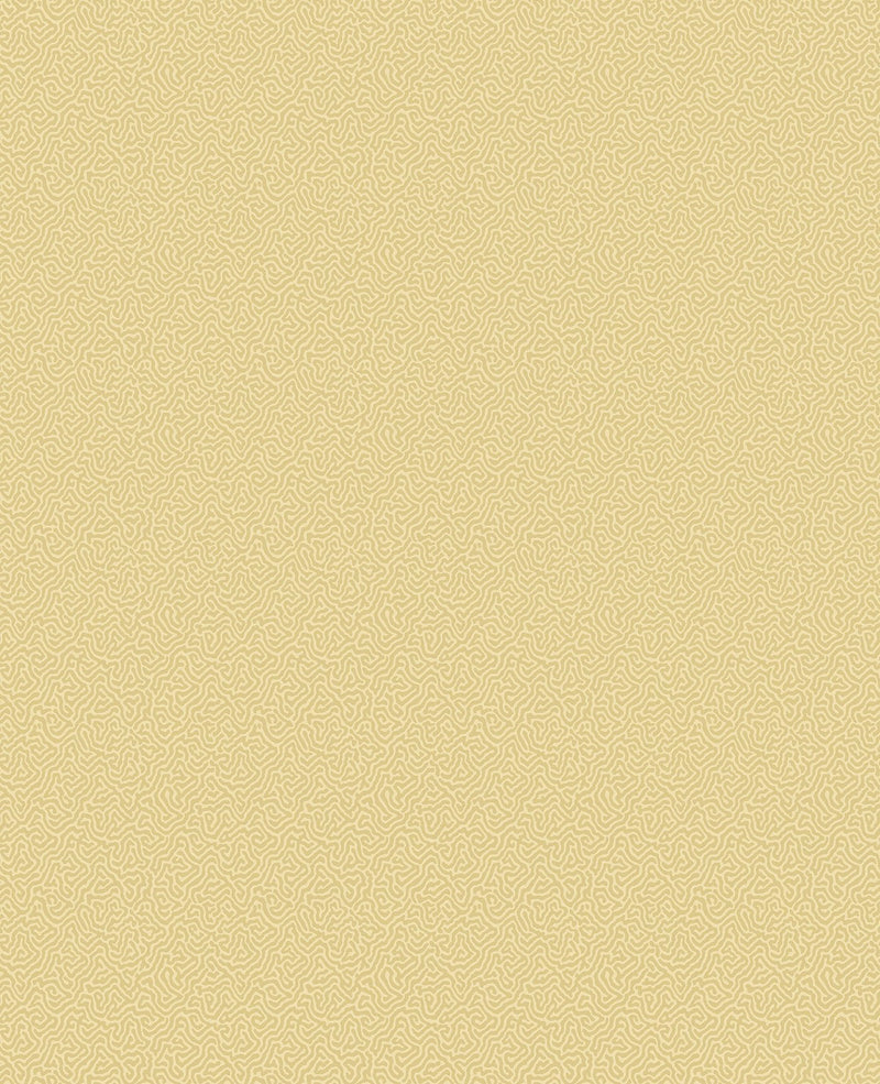 Coral Wallpaper