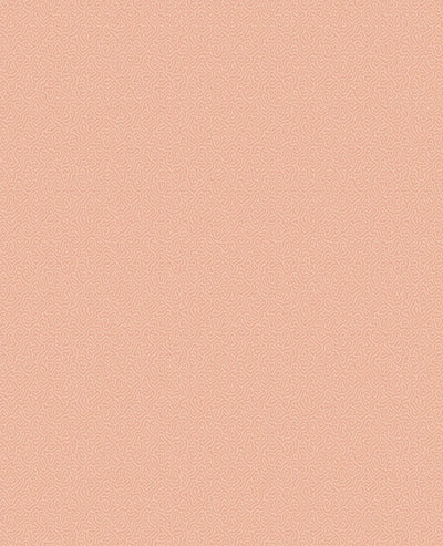 Coral Wallpaper