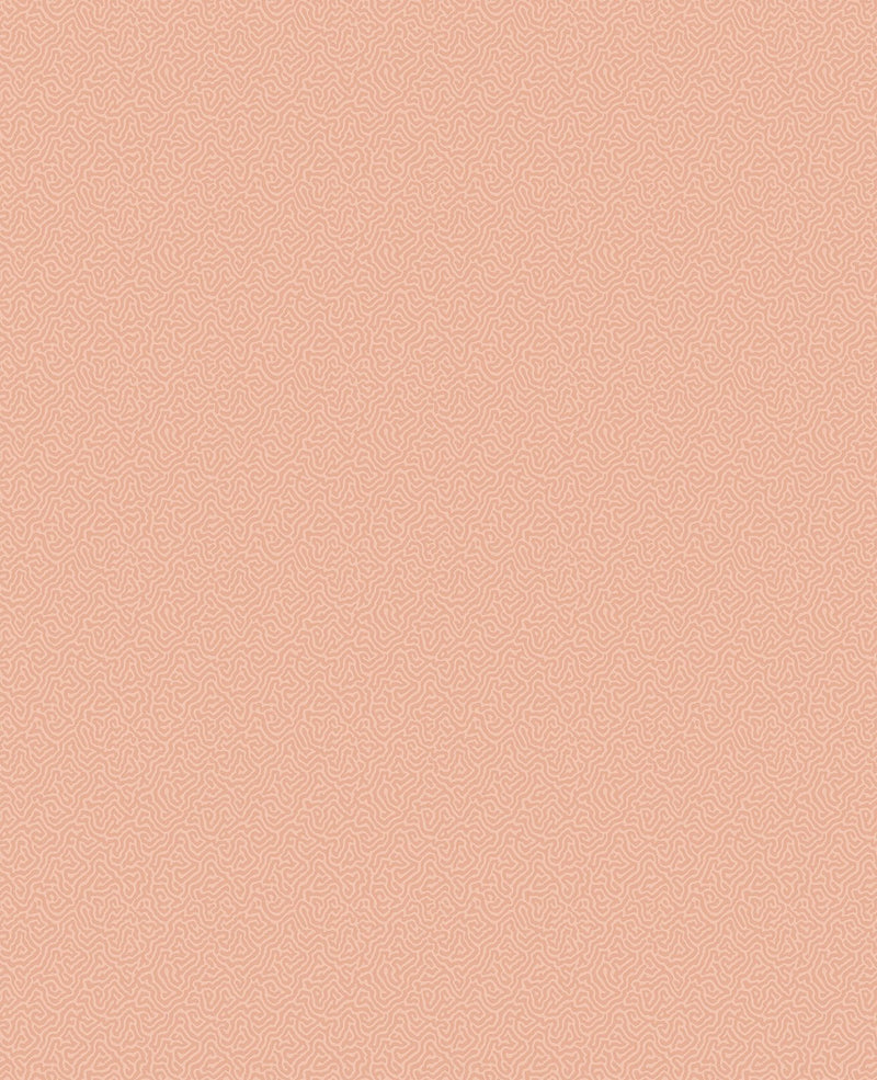 Coral Wallpaper