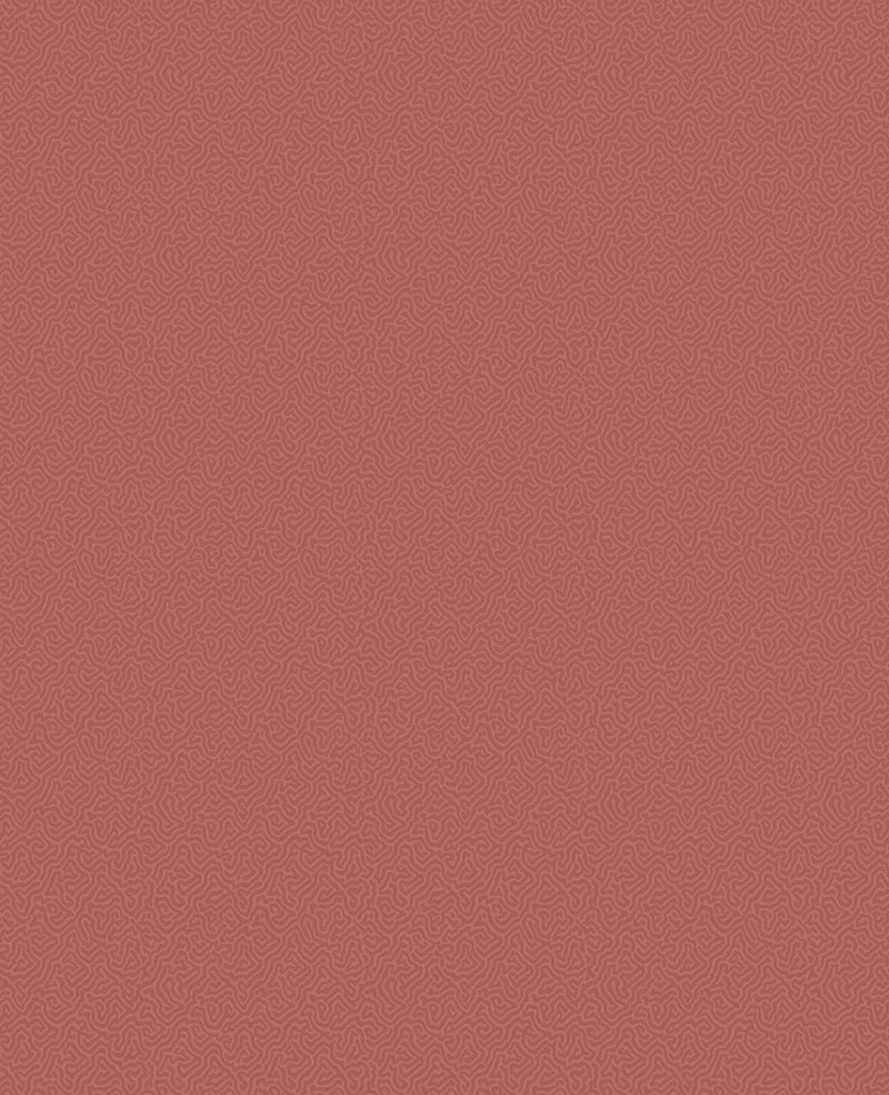 Coral Wallpaper