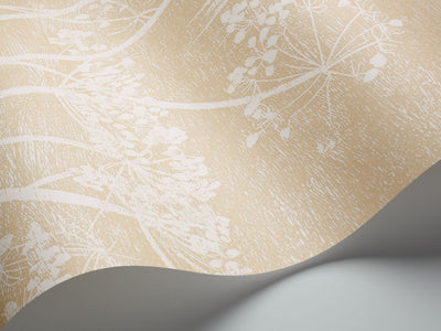 Cow Parsley Wallpaper
