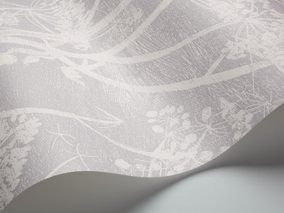 Cow Parsley Wallpaper