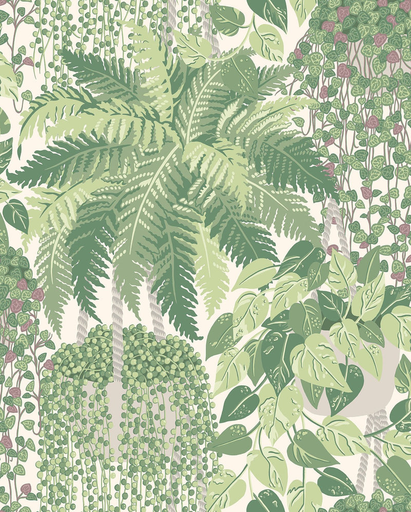 Fern Wallpaper