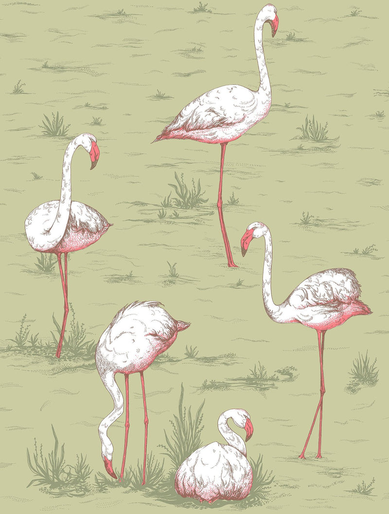 Flamingos Icons Wallpaper