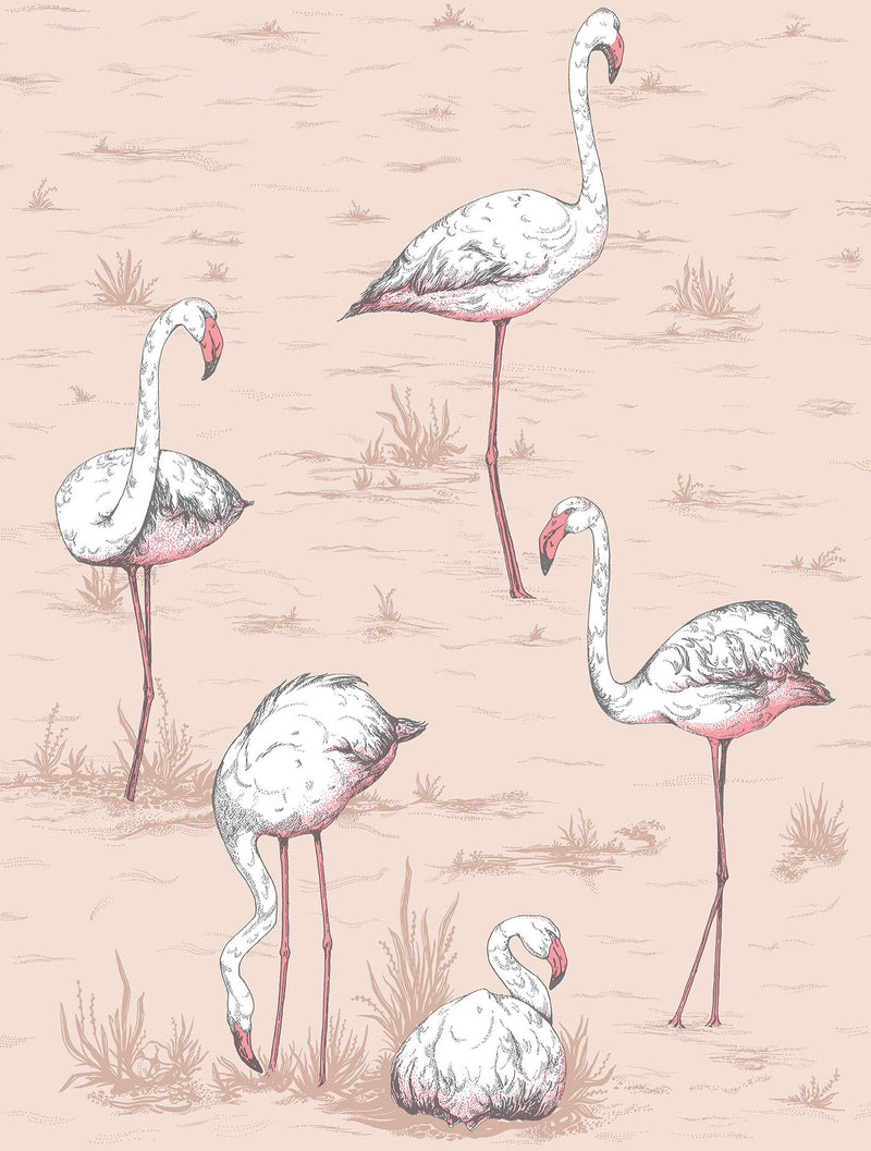 Flamingos Icons Wallpaper