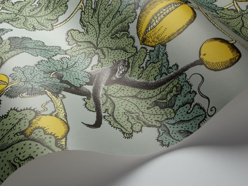 Frutto Proibito Wallpaper