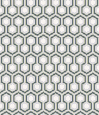 Hicks' Hexagon Wallpaper