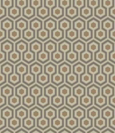 Hicks' Hexagon Wallpaper